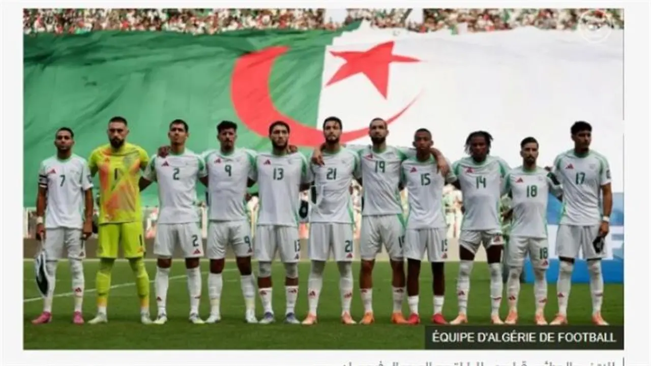 اللقاء المنتظر.. 7 قنوات مجانية لمباراة الجزائر والكونغو في أمم أفريقيا